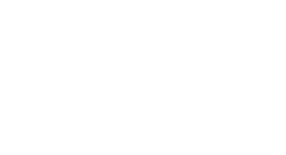 Cars Trucks-N-More, Inc.